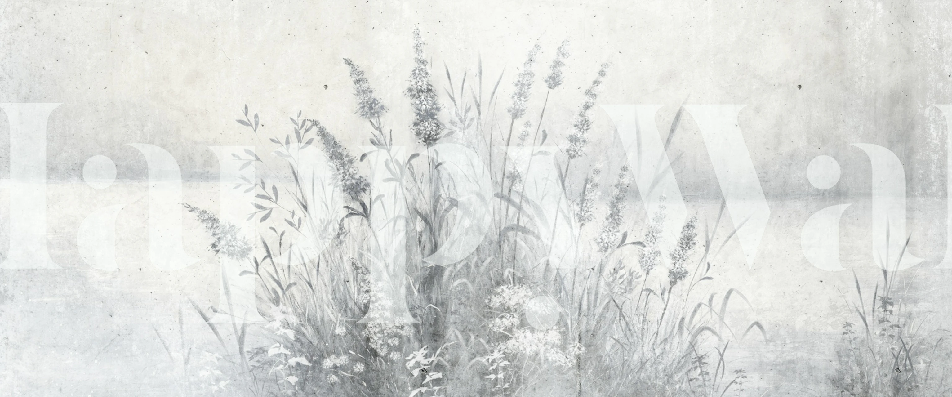 Gray Pampas flowers amidst soft grasses botanical wallpaper