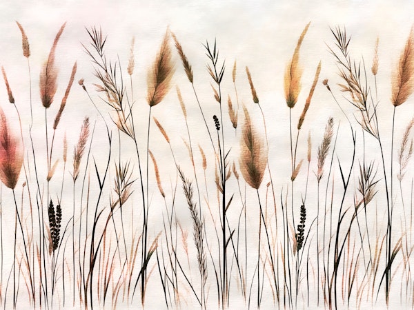 Wabi Sabi Pampas Grass