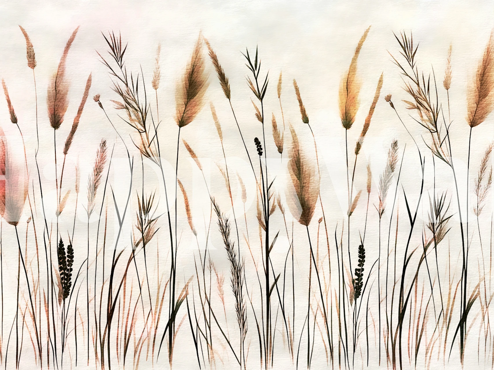 Fototapeta Wabi Sabi Pampas Grass zobrazující elegantní pampovou trávu v neutrálních tónech