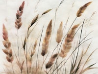 Pampas Grass Watercolor tapet