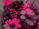 Moody Floral Vibes