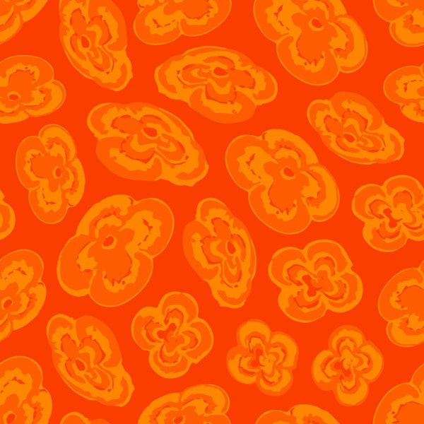 FLOATING LILIES Abstract Floral - Orange