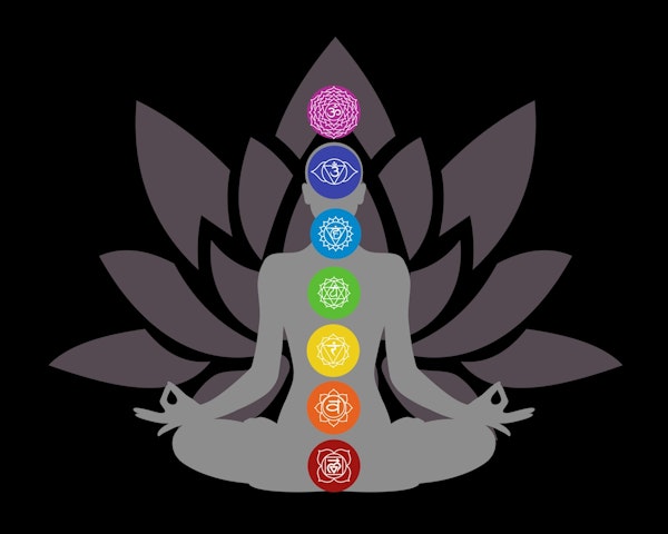 The Seven Chakras 1