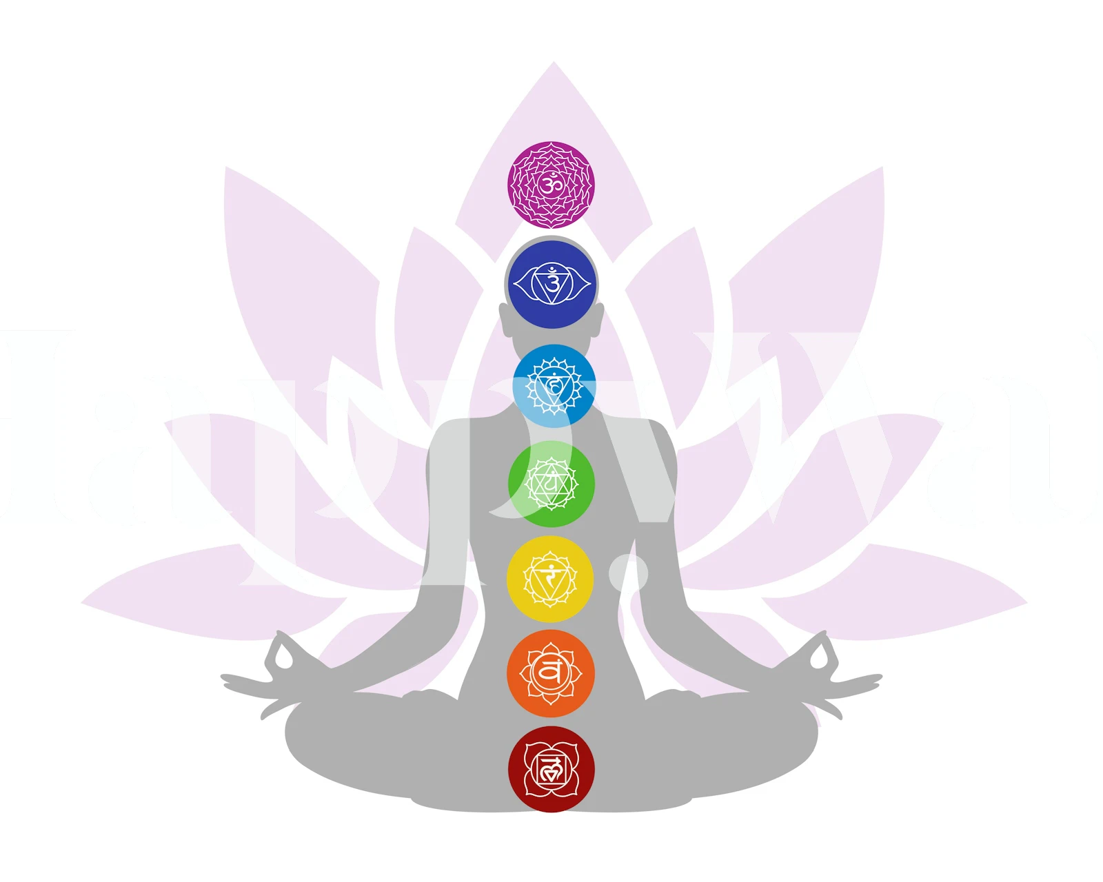 Seven Chakras wallpaper in a room