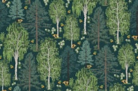 Scandinavian boreal forest flora papiers peint