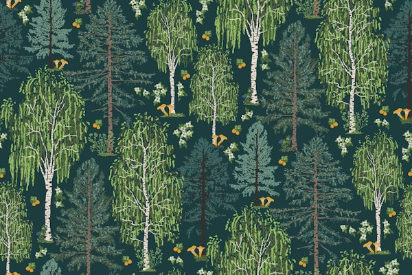 Scandinavian boreal forest flora