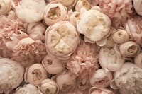 Blossom Cascade Floral Beauty Peach Ivory tapet