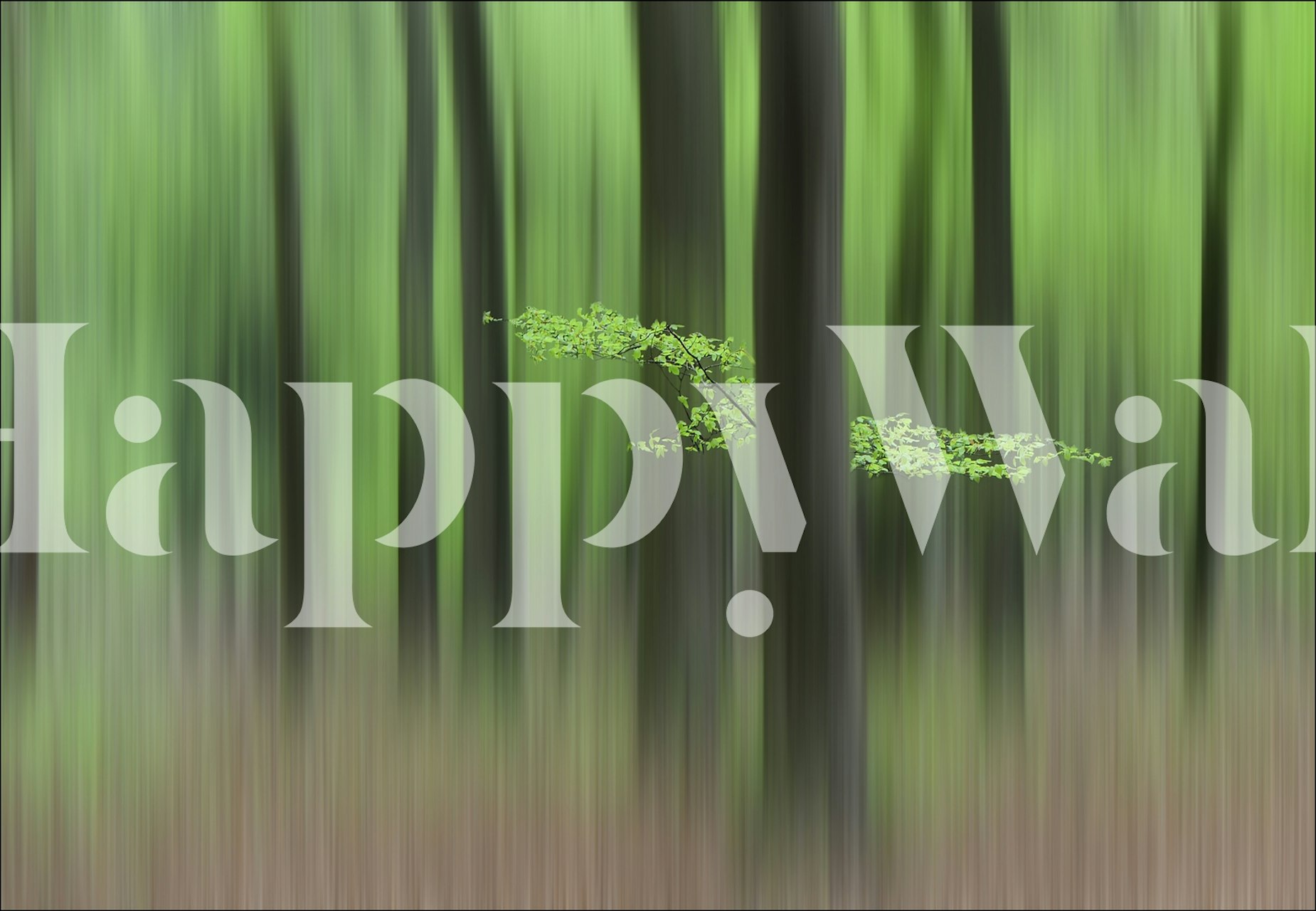 Blurry green forest background with trees and leaves wallpaper