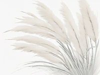 Pampas Grass Light Soft Calm papiers peint
