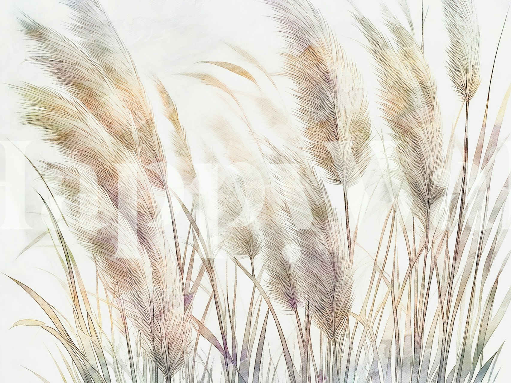 Dreamy Pampas Grass Wallpaper | happywall.com