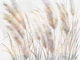 Dreamy Pampas Grass