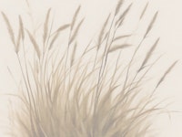 Natural Neutral Soft Grass tapete