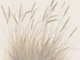 Natural Neutral Soft Grass