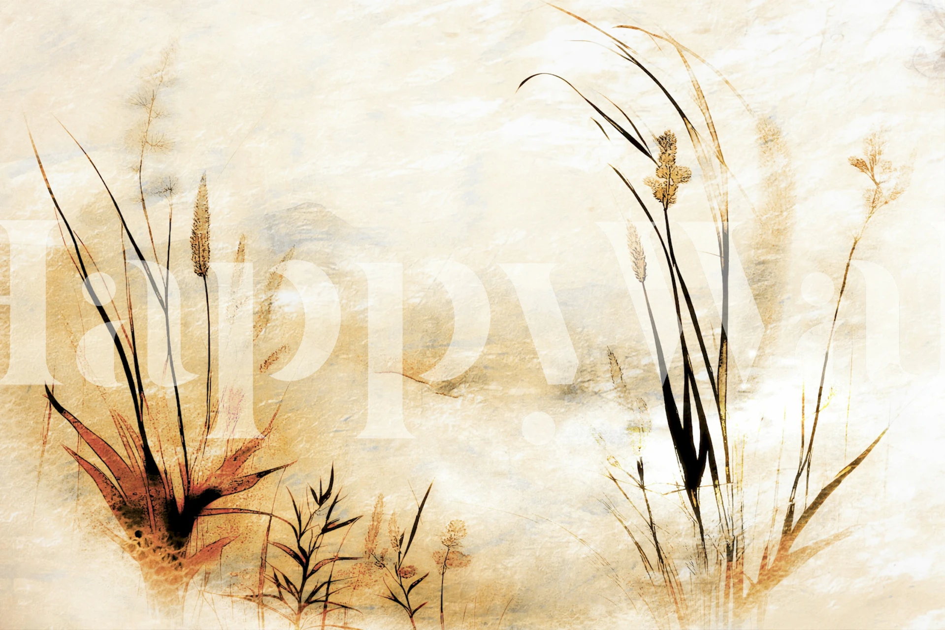 Fotobehang van een weide met hoog gras in gouden zonsopgangtinten