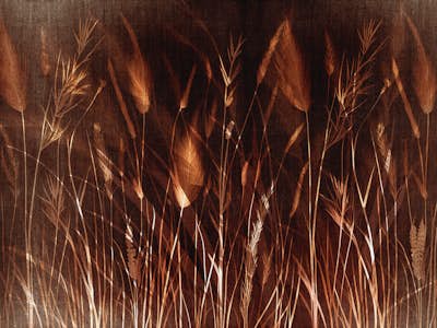 Τοιχογραφία