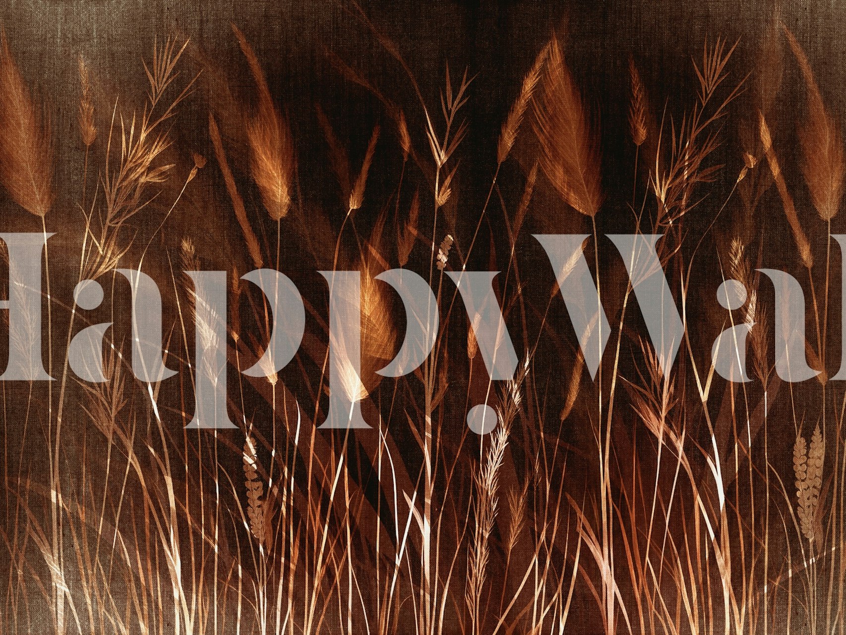 Moody πρωινό λιβάδι με φύλλα γρασιδιού τοίχου