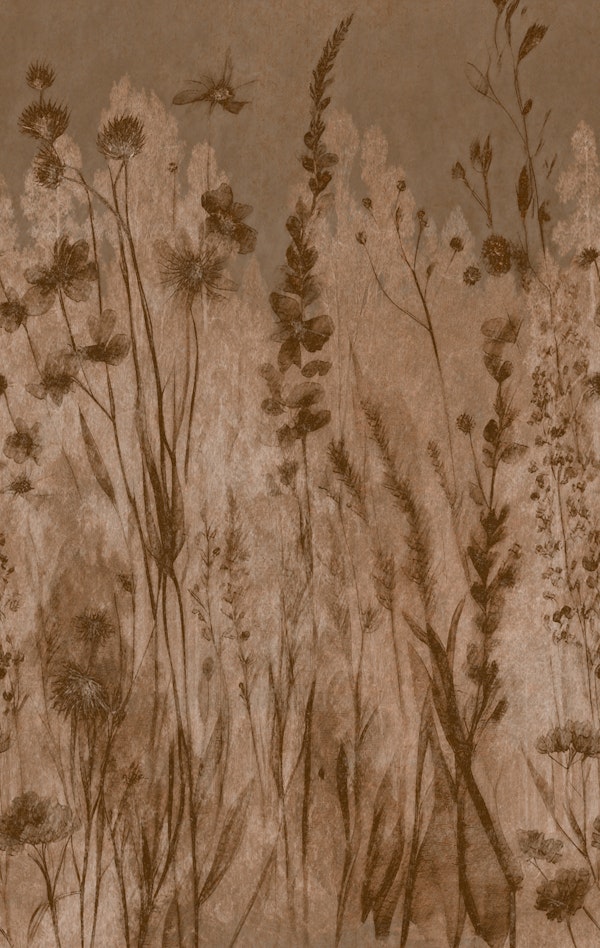 Moody Morning Grass Meadow