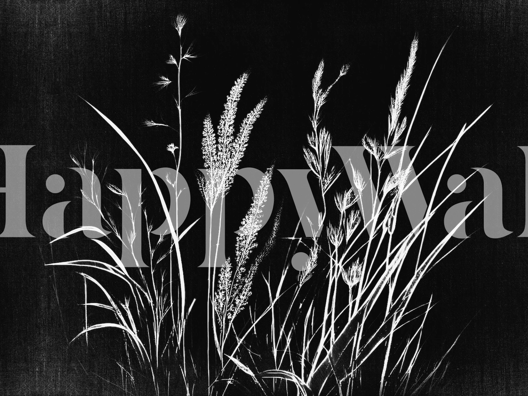 Moody Garden wallpaper displayed in a room