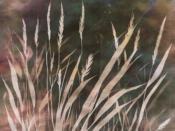 Moody Grass Watercolor