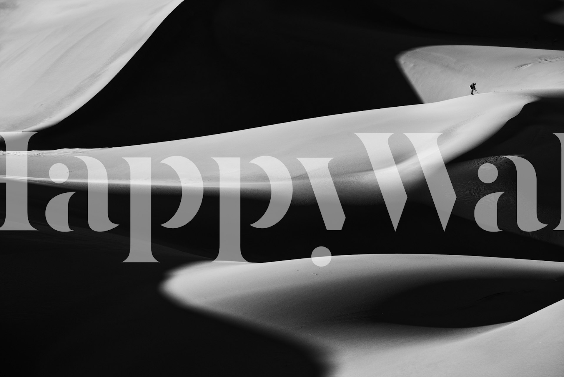 Dune X papel pintado en una habitación moderna