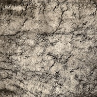 Metallic Fur - Gold behang