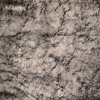 Metallic Fur - Rose behang