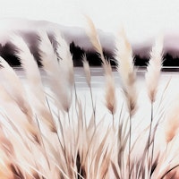 Grass Land papel pintado