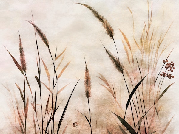 Grass Field Watercolor