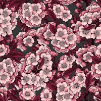 Cherry blossom in pnk and magena wallpaper