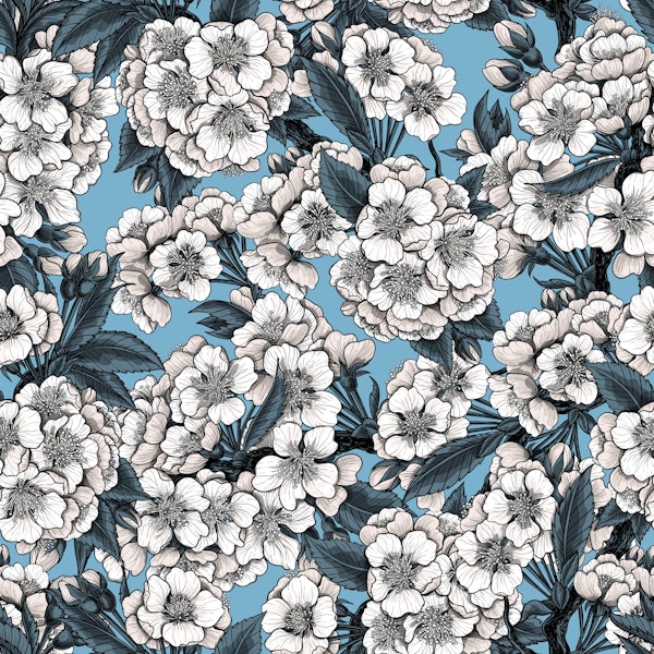 Cherry blossom in blue and white