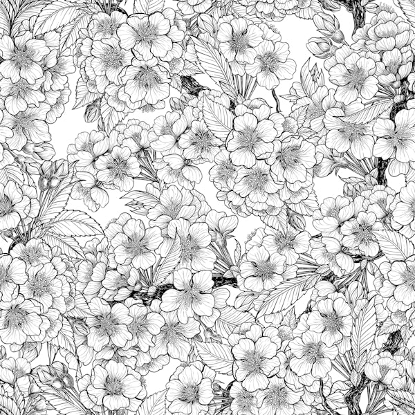 Cherry blossom in black and white