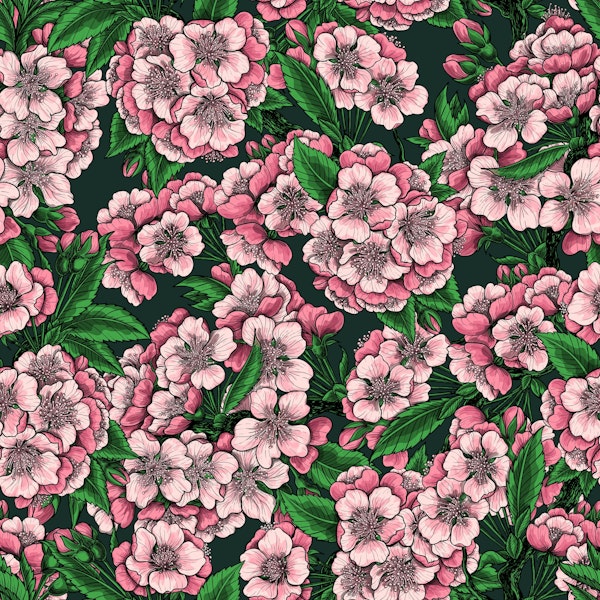 Cherry blossom on green