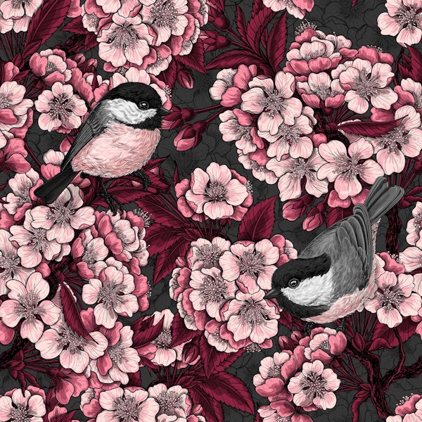 Night cherry blossom and chickadees