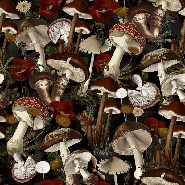 Mystic Mushrooms Night Forest