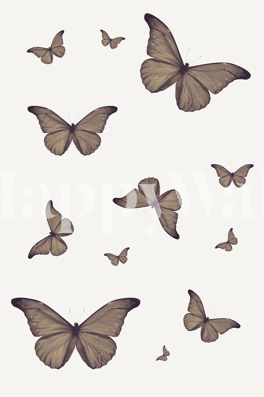 Brown butterflies wallpaper in a room