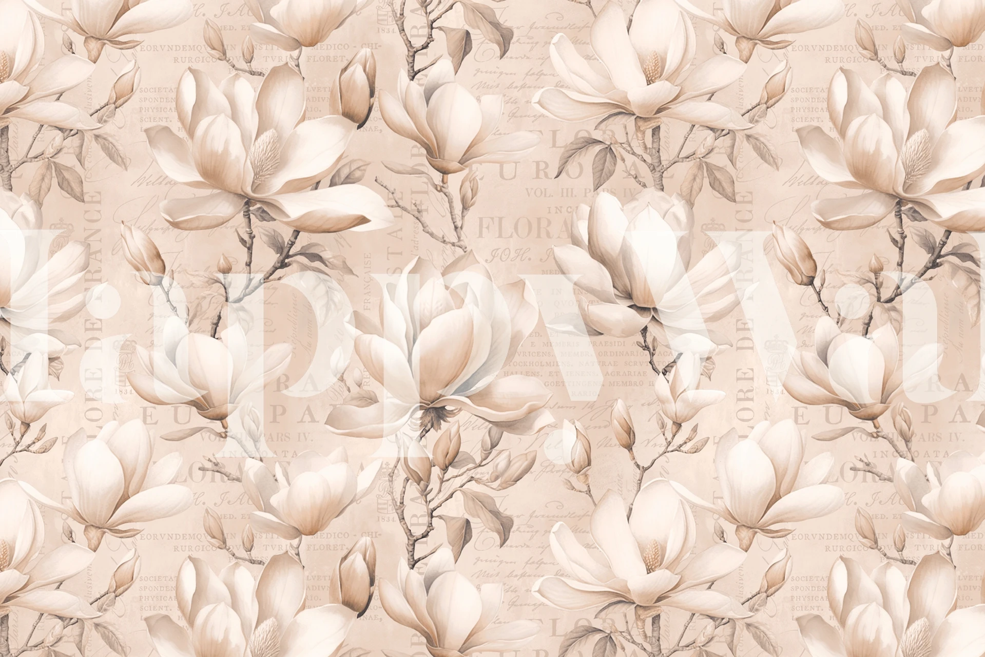 Magnolienblüten in sanften Beigetönen auf Hintergrundtapete