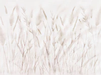 Wild Japandi Grass Botanical Art wallpaper