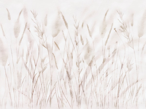 Wild Japandi Grass Botanical Art