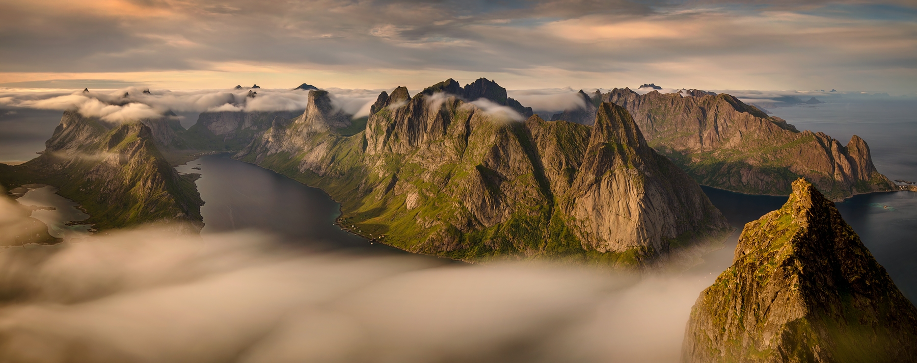 reine