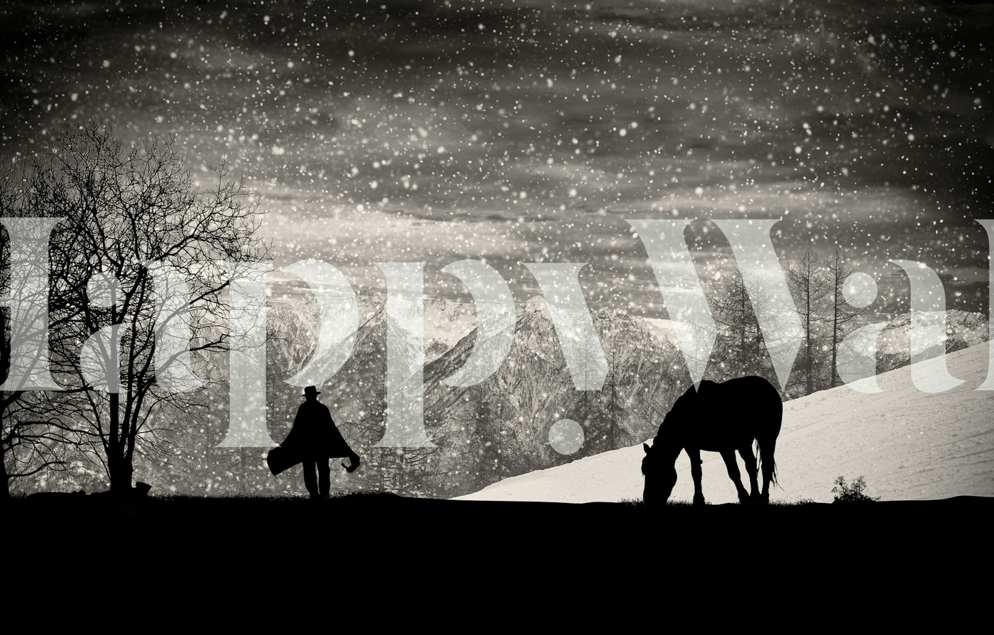 Wallpaper design featuring a person and horse in nature