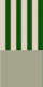 Muted Forest Stripes