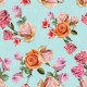 Heirloom roses and tulip