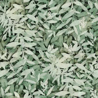 Forest biome dusk green foliage wallpaper