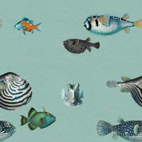 Acquario Fish pattern in duck egg blue papiers peint