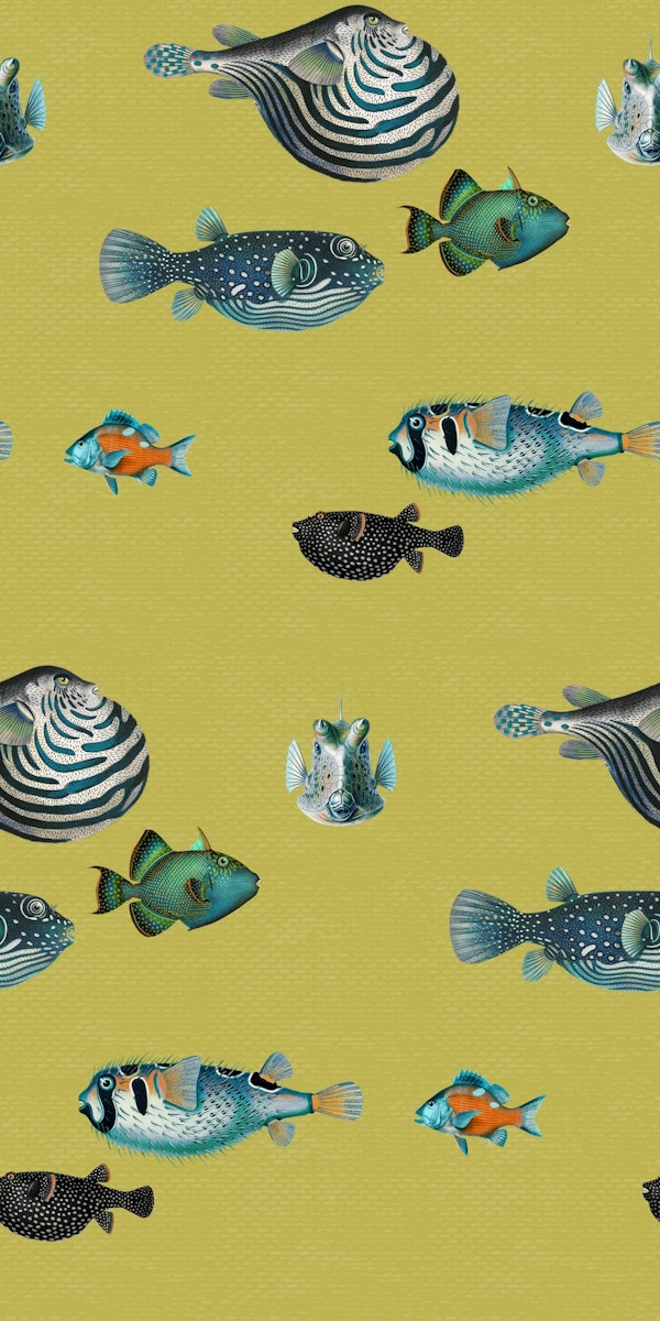 Acquario Fish pattern in lime green