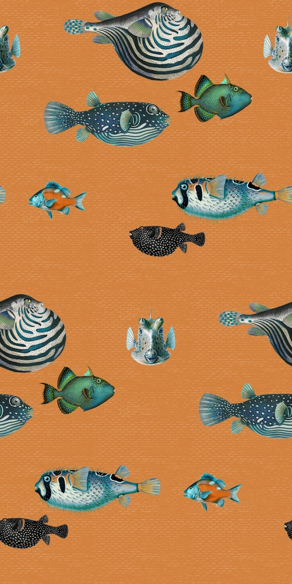 Acquario Fish pattern in orange
