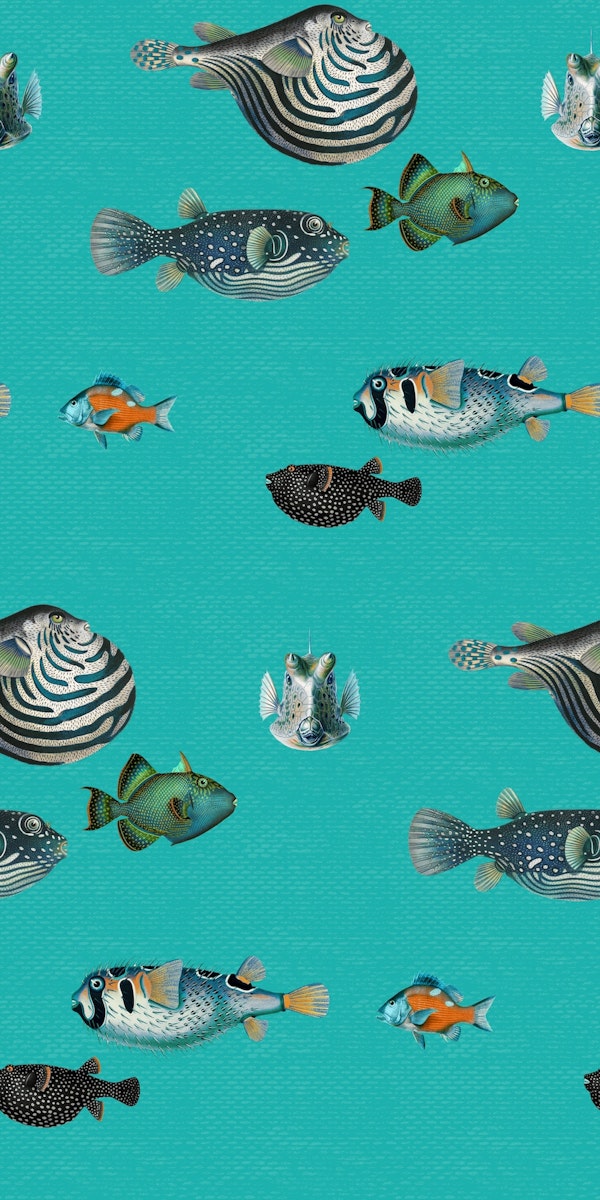 Acquario Fish pattern in turquoise blue