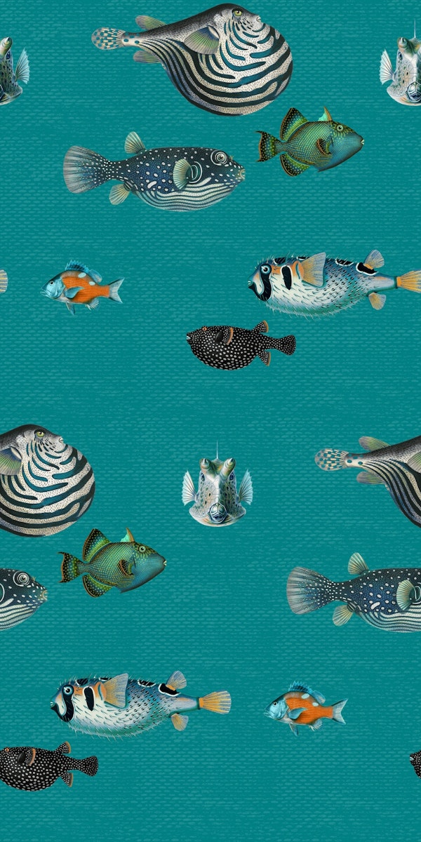 Acquario Fish pattern in teal blue