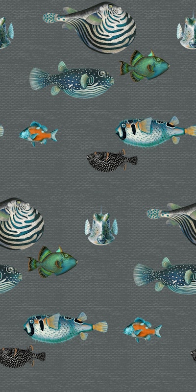 Pattern