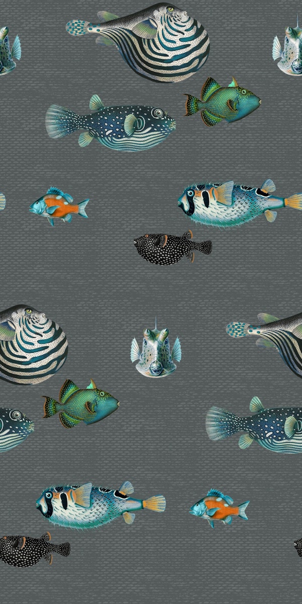 Acquario Fish pattern in dark grey